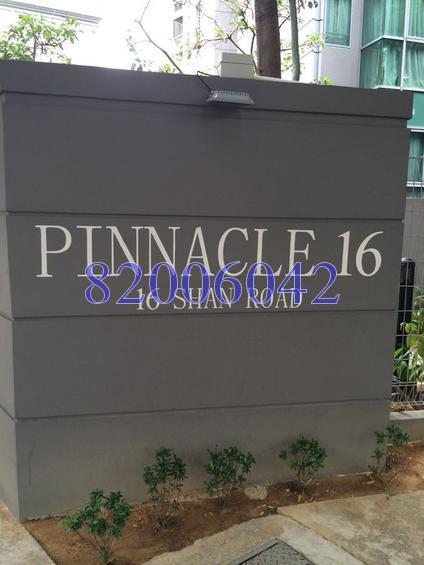 Pinnacle 16 (D12), Apartment #129133722